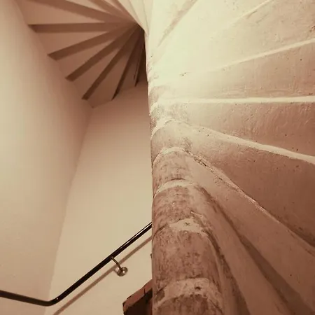 Madame Bergamote 公寓 南锡