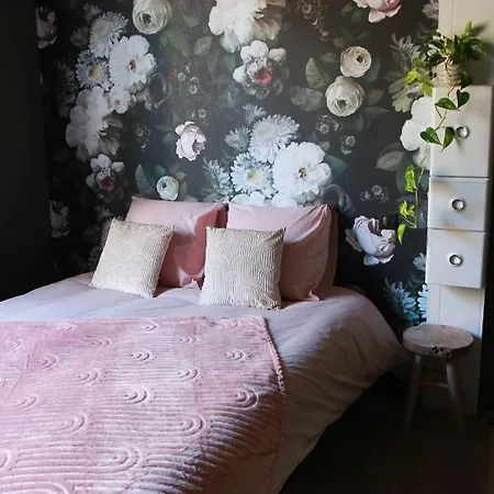 Madame Bergamote Apartamento Nancy