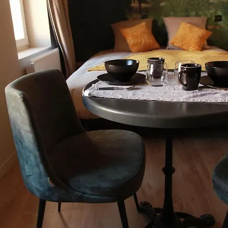 Madame Bergamote 公寓 南锡