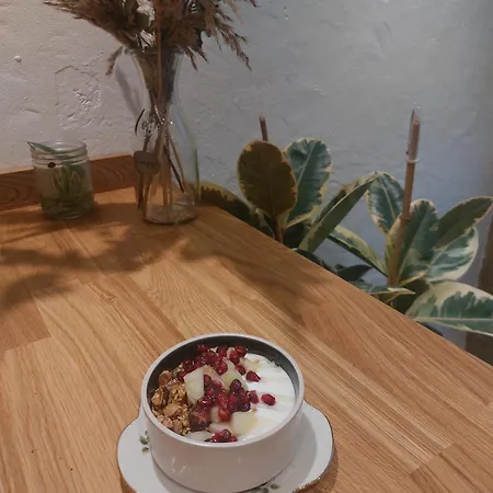 Madame Bergamote 公寓 南锡