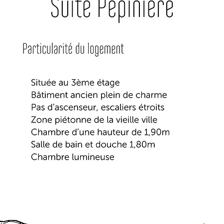 Madame Bergamote * Nancy