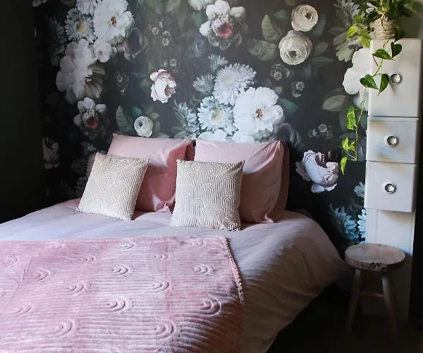 Madame Bergamote Lägenhet Nancy